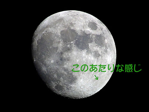 Moonのコピー.jpg